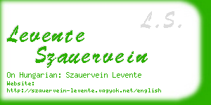 levente szauervein business card